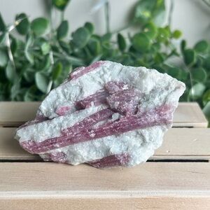 Pink Tourmaline in White Quartz Specimen A